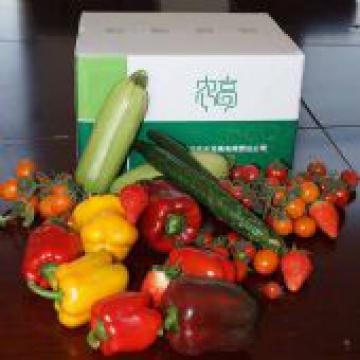 【箱装蔬菜】 ≥10斤箱/同城直达/8种蔬菜